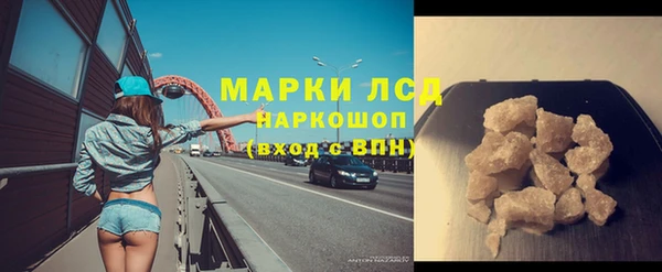 PSILOCYBIN Баксан