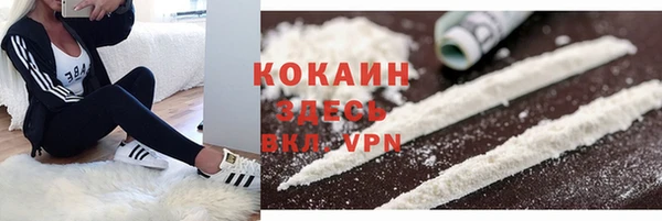PSILOCYBIN Баксан